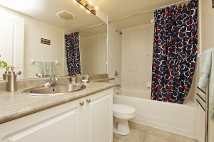 Bathroom 50 Lynn Williams 1713
