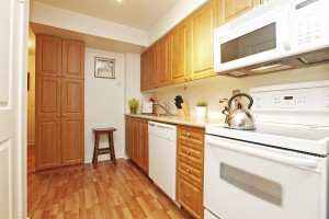 Kitchen 4 50 Lynn Williams 1713