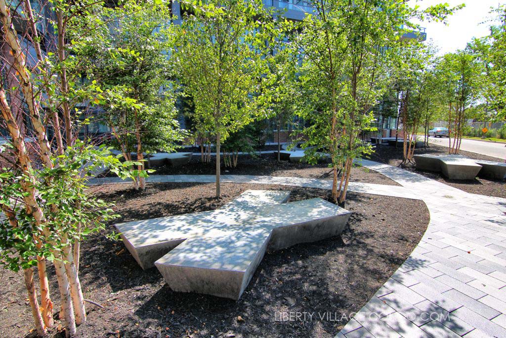 5 Hanna Ave landscape architecture in courtyard