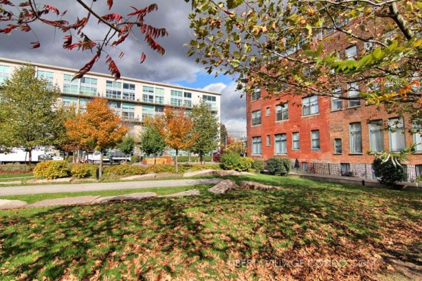 915 King St W and 954 King St W viewed from fall colours in Massey Harris Park