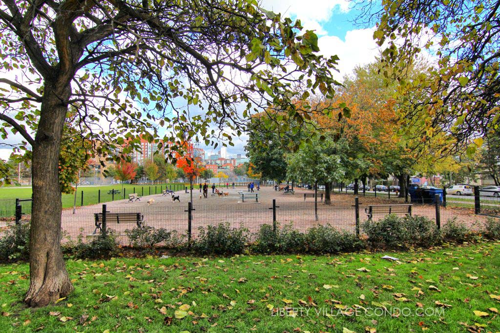 Newly renovated dog park at Stanley Park behind 15 Stafford St