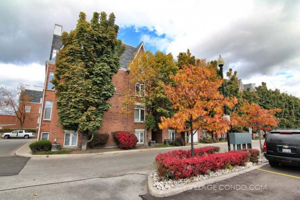 Sudbury St townhomes with fall colours