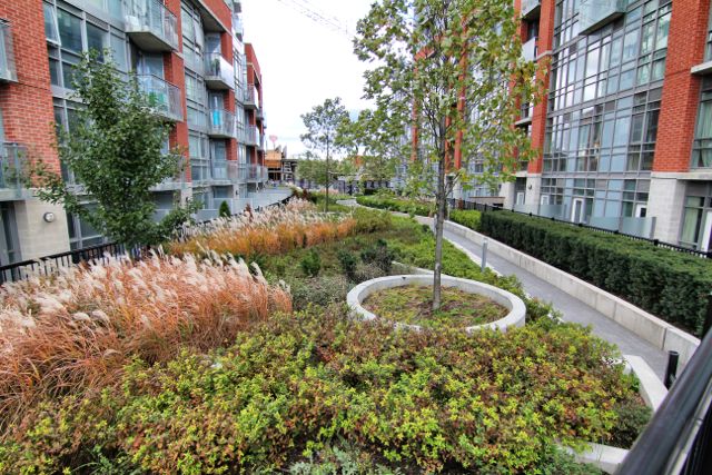 Courtyard and walkway between 150 and 170 Sudbury St